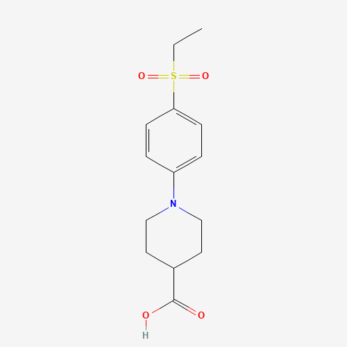 1-[4-(ETHYLSULFONYL)PHENYL]PIPERIDINE-4-CARBOXYLIC ACID
