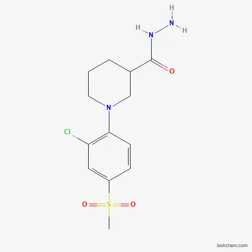 Molecular Structure of 951625-09-5 (1-[2-Chloro-4-(methylsulphonyl)phenyl]piperidine-3-carbohydrazide)