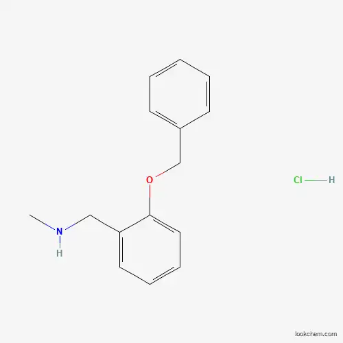 Molecular Structure of 1048674-37-8 ({[2-(Benzyloxy)phenyl]methyl}(methyl)amine hydrochloride)