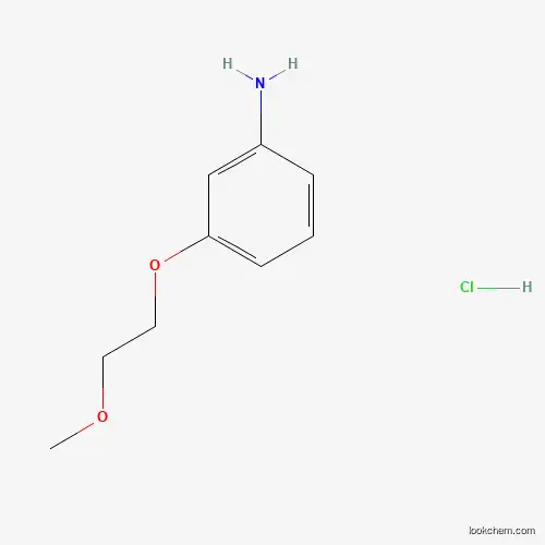 Molecular Structure of 131770-50-8 ([3-(2-Methoxyethoxy)phenyl]amine hydrochloride)