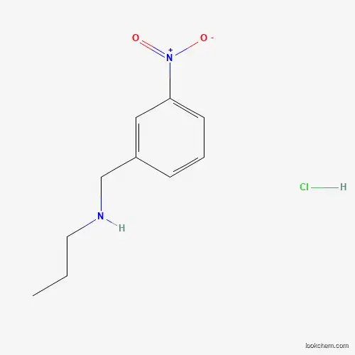 3-NITRO-N-PROPYL-BENZENEMETHANAMINEHCL