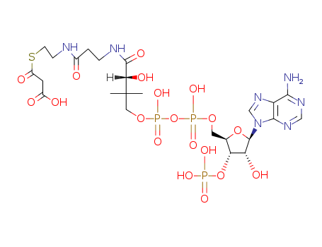 Thiomalonic acid S-ester with coenzyme A
