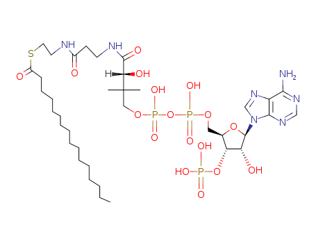Coenzyme A,S-hexadecanoate