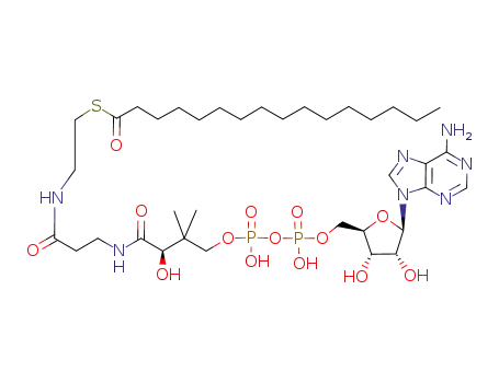 palmitoyl-3'-dephospho-CoA