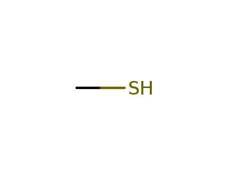 Methanethiol(The propylene glycol solution of 10%)
