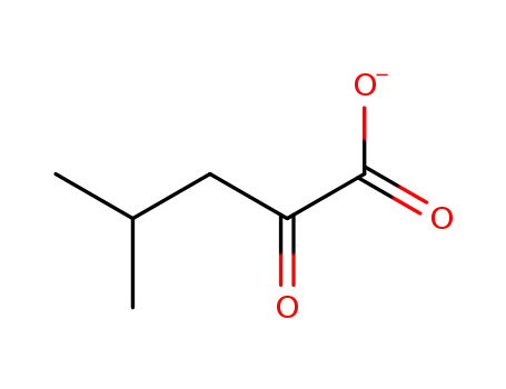 4-methyloxovaleric acid anion