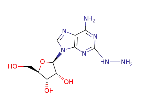 Molecular Structure of 15763-11-8 (2-Hydrazinoadenosine)