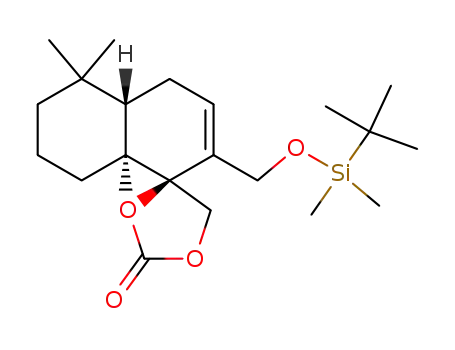 9α,11-carbonyldioxy-12-(tert-butyl)dimethyl-silyldrim-7-ene