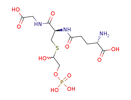 L-γ-glutamyl->S-((Ξ)-1-hydroxy-2-phosphonooxy-ethyl)-L-cysteinyl->glycine