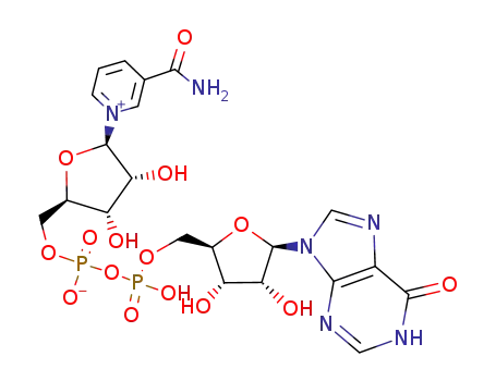 nicotinamide hypoxanthine 5′-dinucleotide