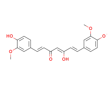 curcumin phenoxyl radical