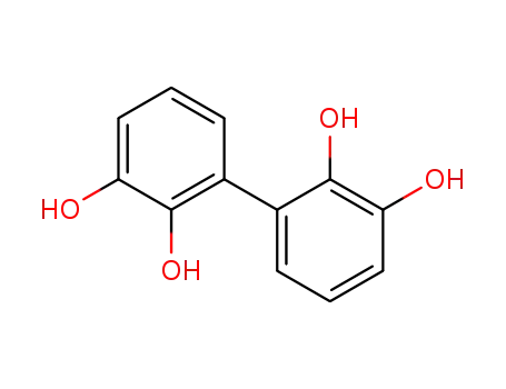 Molecular Structure of 19261-03-1 ([1,1-Biphenyl]-2,2,3,3-tetrol(9CI))