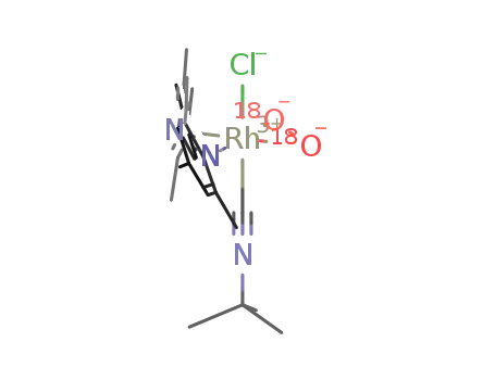 [Rh(Cl)(18O2){2,4,6-Me3C6H2-N=CH-CH=N-2,4,6-Me3C6H2}(CNtBu)]