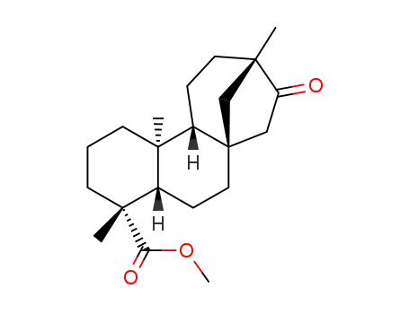 isosteviol methyl ester