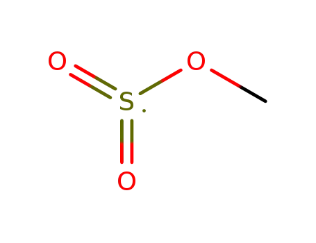 methoxysulfonyl radical