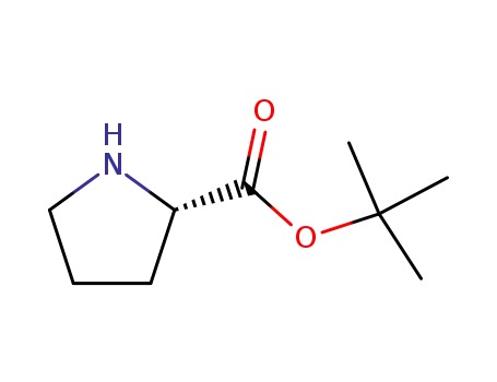 Molecular Structure of 2812-46-6 (H-PRO-OTBU)