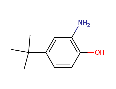 2-Amino-4-tert-butylphenol(1199-46-8)