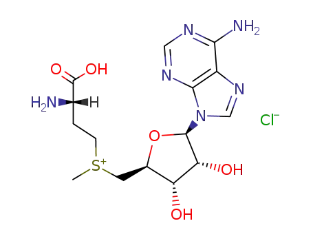 S-(5’-adenosyl)-L-methionine chloride