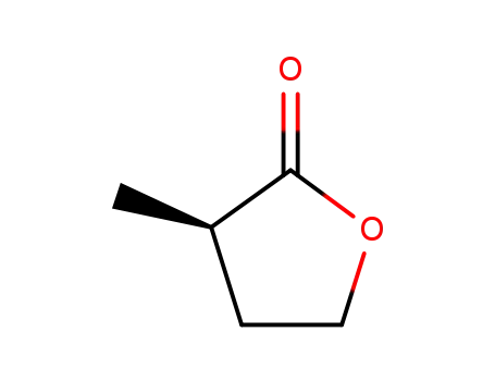 Molecular Structure of 55254-35-8 (2(3H)-Furanone, dihydro-3-methyl-, (R)-)