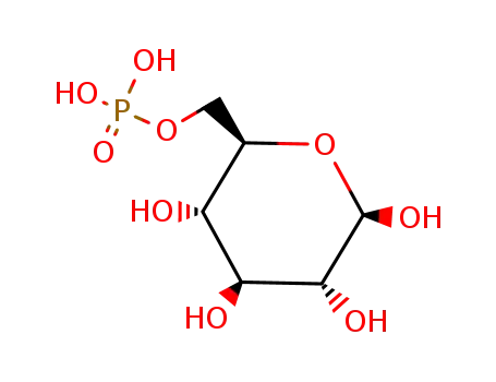 β-D-glucose 6-phosphate