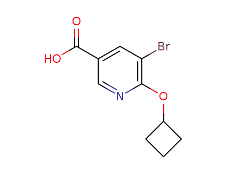 5-bromo-6-cyclobutoxynicotinic acid