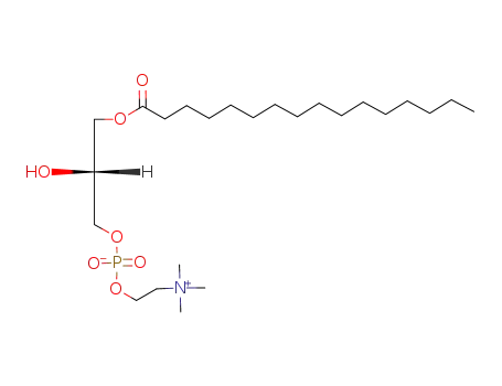 1-palmitoyl-sn-glycero-3-phosphocholine