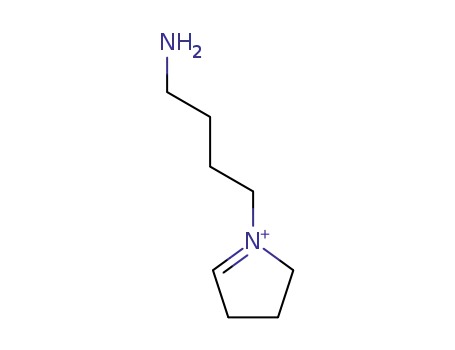 N-(4-aminobutyl)-1,2-didehydropyrrolidinium ion