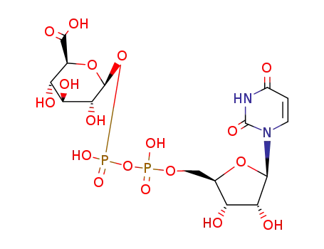 uridine diphosphoglucuronic acid