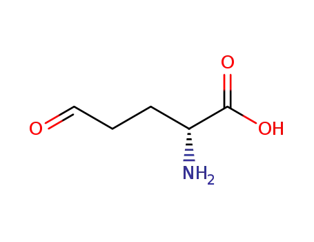 (R)-2-Amino-5-oxo-pentanoic acid
