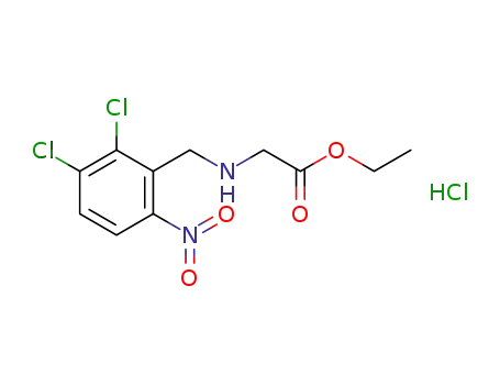 Molecular Structure of 70380-50-6 (Ethyl N-(2.3-dichloro-6-nitrobenzyl)glycine)
