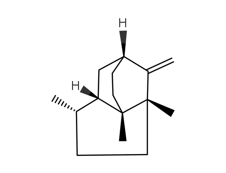 Seychellene