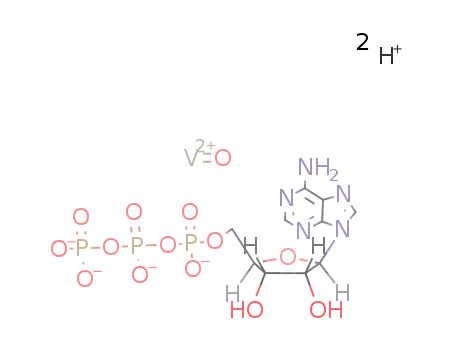 vanadyl(IV)adenosine-5'-triphosphate complex