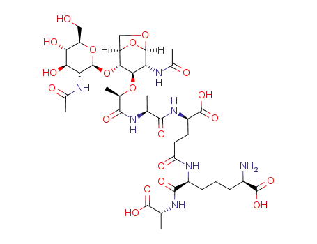 GlcNAc-(β1-4)-(anhydro)MurNAc-L-Ala-γ-D-Glu-meso-DAP-D-Ala