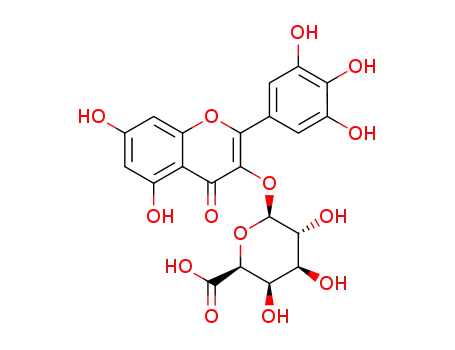 myricetin 3-O-β-4C1-galactopyranouronoide