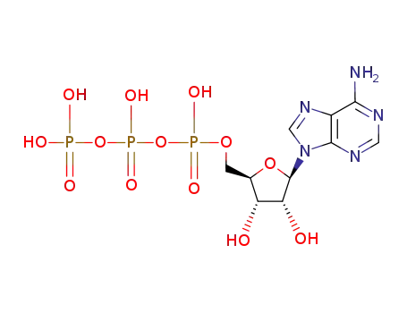 Molecular Structure of 56-65-5 (Adenosine triphosphate)
