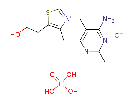 thiamine monophosphate