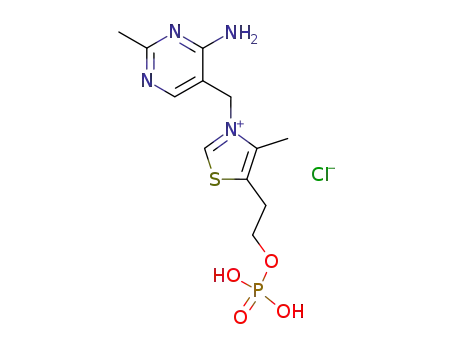 Thiazolium,3-[(4-amino-2-methyl-5-pyrimidinyl)methyl]-4-methyl-5-[2-(phosphonooxy)ethyl]-,chloride (1:1)