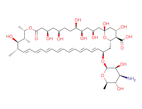 Molecular Structure of 1397-89-3 (Amphotericin B)