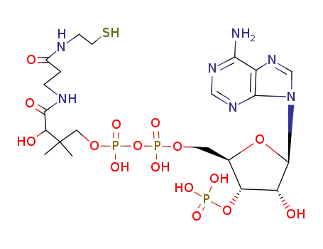 coenzyme A