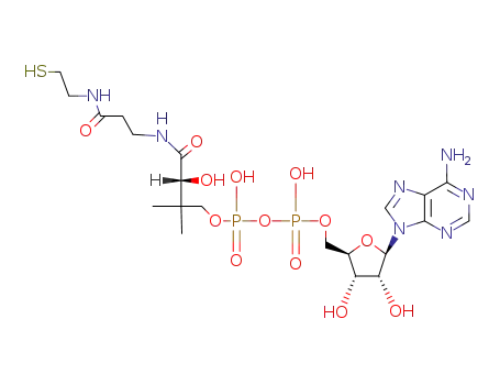 Molecular Structure of 3633-59-8 (3'-DEPHOSPHOCOENZYME A)