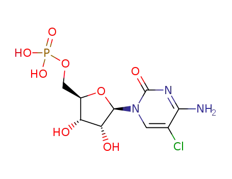 5-chlorocytidine monophosphate