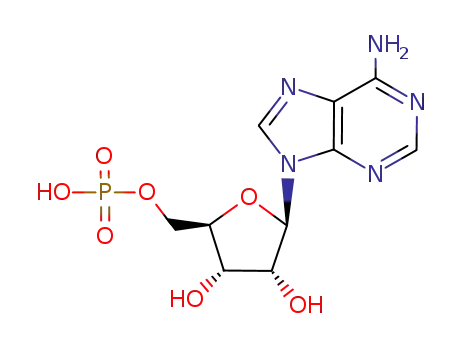 adenosine 5'-monophosphate