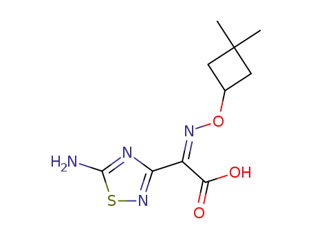 (5-Amino-[1,2,4]thiadiazol-3-yl)-[(Z)-3,3-dimethyl-cyclobutoxyimino]-acetic acid