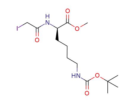 N-iodoacetyl-Lys(Boc)-OMe