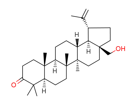 Molecular Structure of 7020-34-0 (Betulone)