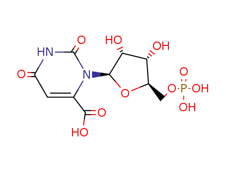 2,6-dioxo-3-(5-O-phosphonopentofuranosyl)-1,2,3,6-tetrahydropyrimidine-4-carboxylic acid