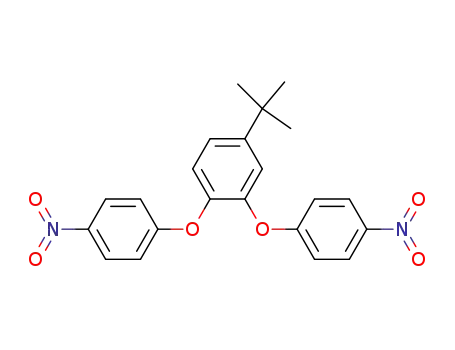 Molecular Structure of 210492-39-0 (Benzene, 4-(1,1-dimethylethyl)-1,2-bis(4-nitrophenoxy)-)