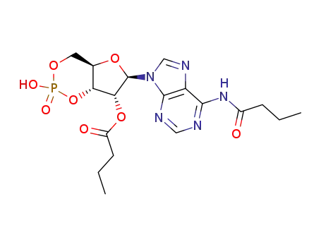 Calcium Dibutyacyladenosine