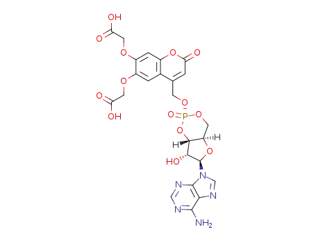 Molecular Structure of 339291-51-9 (6,7-BIS(CARBOXYMETHOXY)COUMARIN-4-YL)METHYL-ADENOSINE-3',5'-CYCLICMONOPHOSPHONATE(BCMCM-CAGEDCAMP))