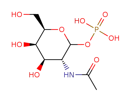 N-acetylgalactosamine-1-phosphate